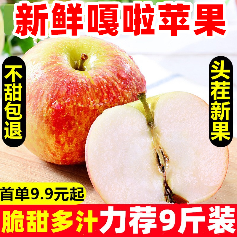【正宗嘎啦】现摘陕西脆甜嘎啦苹果5斤装新鲜水果当季整箱