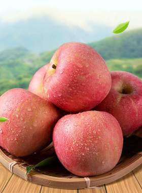 【托盘装】山西红富士苹果新鲜当季水果丑苹果整箱10斤/5斤现季