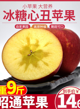 正宗云南昭通冰糖心丑苹果9斤装现摘新鲜脆甜农家自种应季水果5