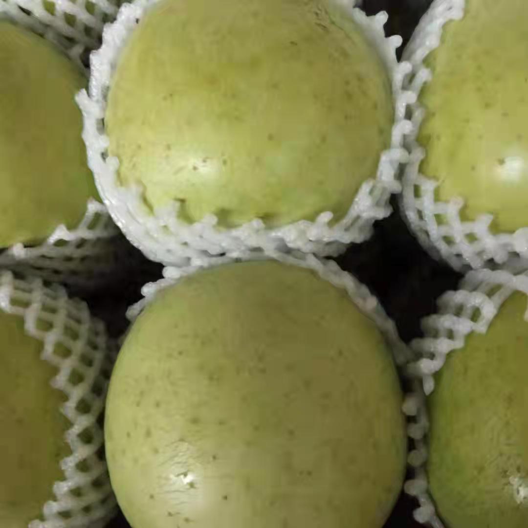 顺平太行山农村特产现货采摘应季新鲜水果王林苹果5斤装包邮