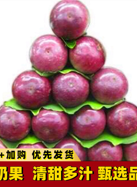 新鲜牛奶果热带水果金星果星苹果孕妇月子宝宝广西多汁果肉5斤装