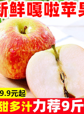 【正宗嘎啦】现摘陕西脆甜嘎啦苹果5斤装新鲜水果当季整箱
