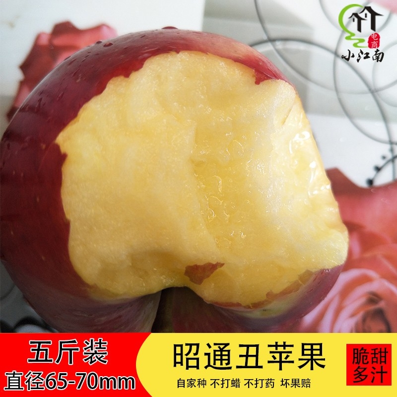 0云南昭通当季冰糖心丑苹果新鲜水果红富士苹果水果5斤装包邮