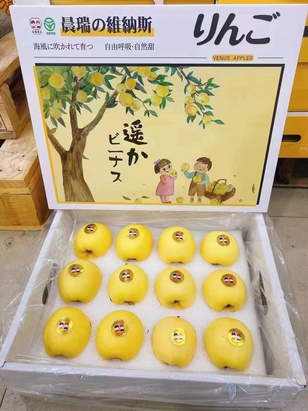 现货维纳斯黄金苹果5斤礼盒装冬恋金星奶油苹果脆甜多汁新鲜水果