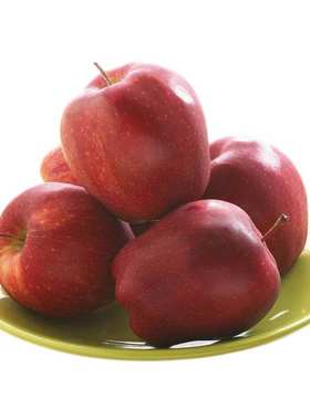 花牛苹果5斤装天水国产新鲜粉面水果糖心当季红蛇苹果刮泥