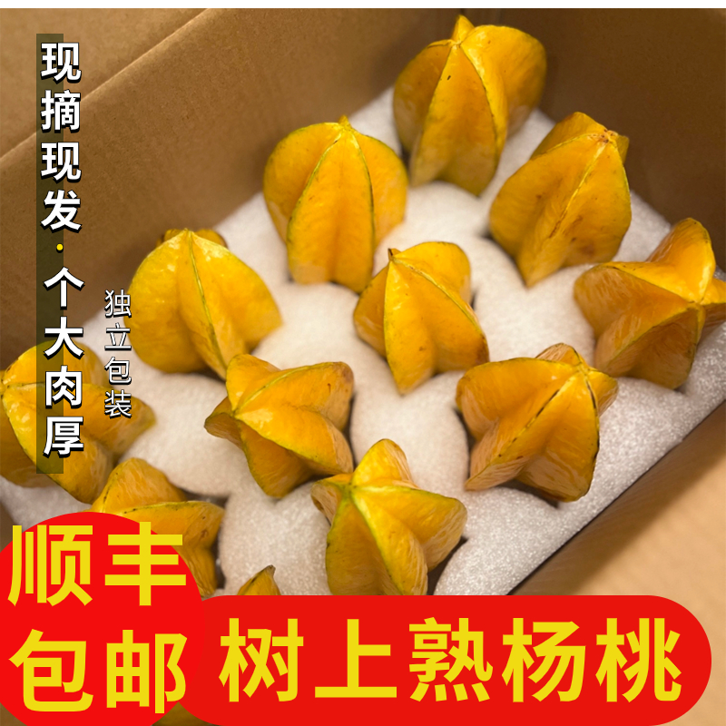 爆汁大果家庭装4.5-5斤（6～10个)下河树上熟杨桃新鲜水果五角