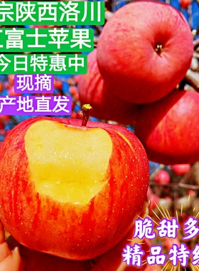 陕西洛川正宗红富士苹果5斤装