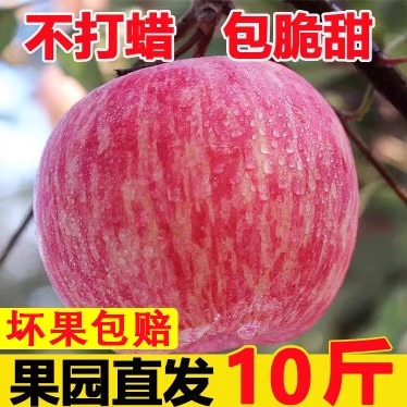 正宗白水红富士苹果陕西新鲜水果5斤脆甜无渣冰糖心丑平果9斤装