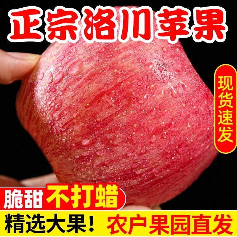 陕西洛川红富士苹果一级5斤装脆甜多汁带皮吃新鲜应季水果脆现摘