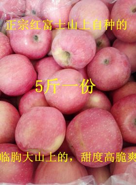 正宗临朐红富士临朐苹果5斤装新鲜水果甜脆爽口潍坊临朐山上自种