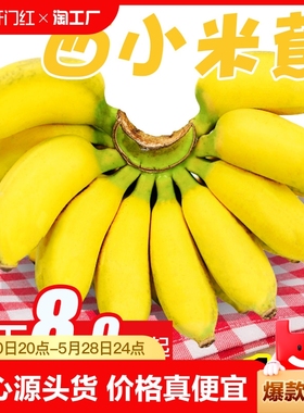 广西小米蕉香蕉水果新鲜9斤芭蕉心当季自然熟皇帝蕉拇指蕉整箱