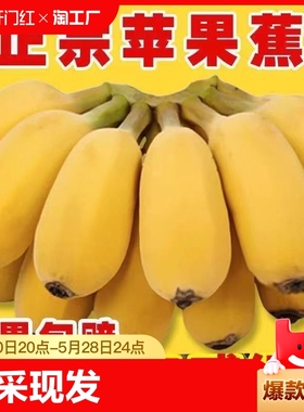 广西正宗苹果蕉香蕉新鲜9斤自然熟当季整箱水果粉蕉小米芭蕉入口