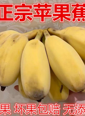 正宗苹果蕉香蕉新鲜9斤自然熟当季小米芭蕉香焦皇帝蕉苹果粉蕉10