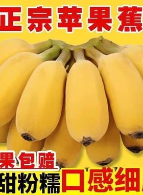 广西正宗苹果蕉香蕉新鲜9斤自然熟当季整箱水果粉蕉小米芭蕉入口