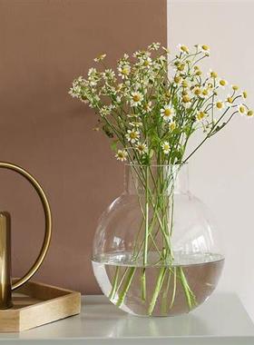植物玻璃相框球形花瓶插花韩国ins风北欧桌面样板间民宿居家装饰