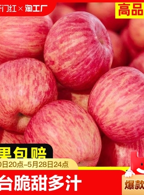 烟台红富士苹果正宗山东栖霞萍果水果脆甜多汁10斤整箱装新鲜苹果