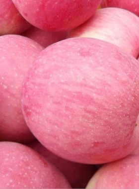 正宗红富士苹果时令新鲜水果脆甜当季孕妇水果5斤装包邮