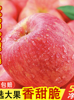 红富士现摘新鲜水果当季红富士脆甜丑苹果香甜多汁整箱5斤包邮