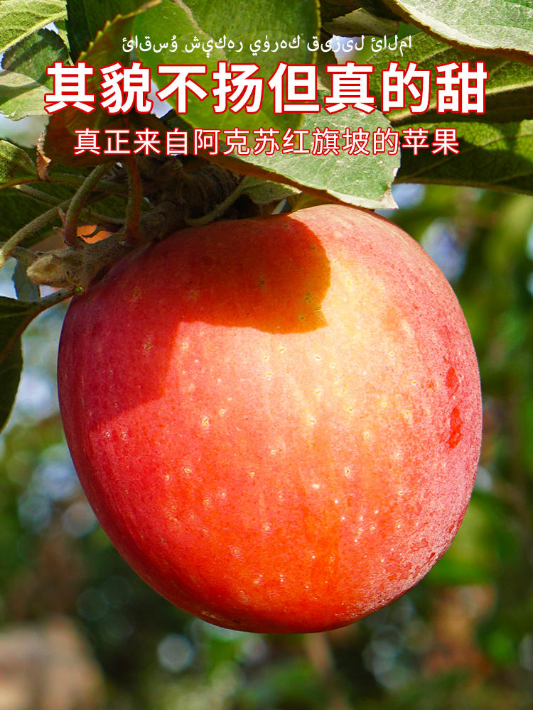 【新疆阿克苏冰糖心】正宗苹果大果整箱新鲜水果应季红富士丑苹果