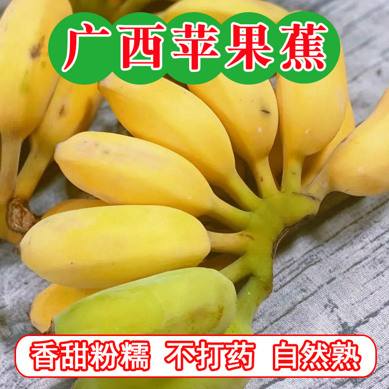 正宗广西苹果蕉香蕉自然熟现摘当季水果粉芭蕉小香蕉9斤整箱包邮5