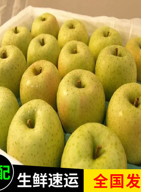 王林苹果辽宁特产脆甜新鲜水果青苹果青森苹果5斤装多省包邮