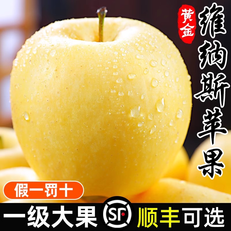 黄金维纳斯苹果5斤新鲜当季水果奶油黄富士冰糖心丑平果整箱包邮
