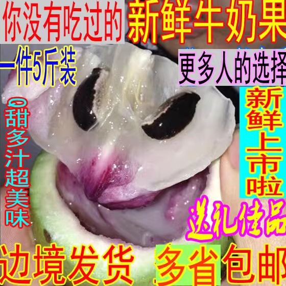 越南品种牛奶果热带新鲜水果金星果星苹果宝宝孕妇月子果5斤包邮