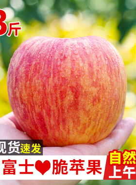 2024现摘红富士苹果5斤应当季新鲜水果正宗脆甜冰糖苹果整箱包邮1