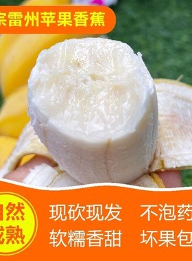 广东徐闻香蕉正宗苹果蕉新鲜水果整箱包邮当季非小米蕉自然熟5斤