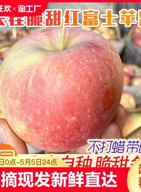 山东冰糖心丑苹果当季新鲜孕妇水果10斤整箱红富士包邮5大果现摘