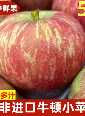 南非牛顿小苹果脆甜多汁进口富士樱桃小苹果时令新鲜水果5斤包邮