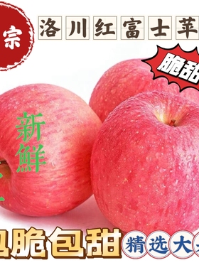 正宗陕西洛川晚熟红富士苹果非烟台新鲜水果5斤10装