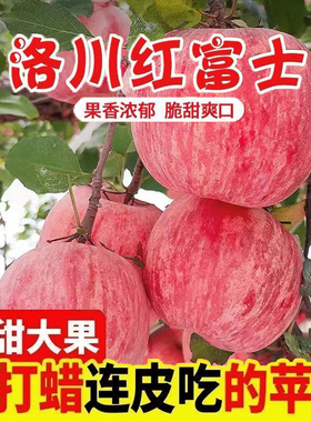 正宗陕西洛川苹果9斤新鲜水果红富士当季整箱脆甜5斤特大包邮孕妇