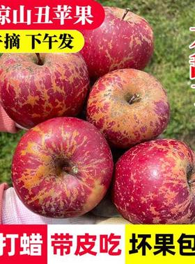 四川大凉山丑苹果冰糖心盐源苹果新鲜水果当季孕妇红富士5斤