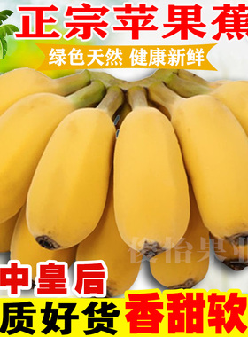 广西苹果蕉正宗9斤5斤产地直发时令香蕉新鲜水果整箱非小米蕉芭蕉