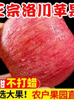 陕西洛川红富士苹果一级5斤装脆甜多汁带皮吃新鲜应季水果脆现摘