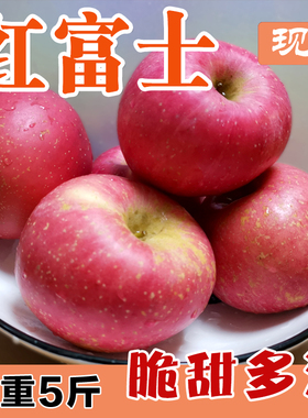 脆甜烟台红富士苹果山东红富士苹果水果新鲜当季整箱5斤10斤萍果