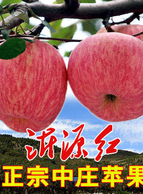 山东苹果条红新鲜水果沂源红中庄苹果红富士当季整箱包邮5斤10斤