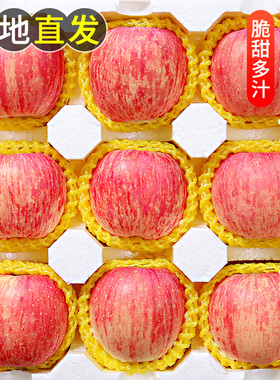 烟台红富士苹果水果9斤新鲜山东栖霞特产脆甜丑萍果当季整箱5包邮