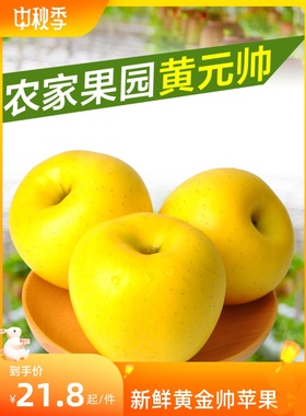 2024新鲜黄金帅苹果现货黄香蕉5斤黄元帅当季水果软糯酸甜多汁食5