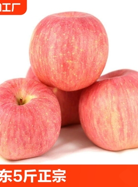 山东烟台苹果红富士条纹脆甜新鲜水果包邮5斤10斤带箱上门送货