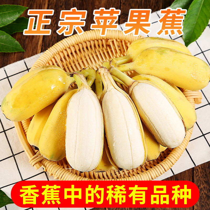 苹果蕉香蕉新鲜5斤自然熟正宗粉蕉孕妇水果当季小米蕉芭蕉皇帝蕉