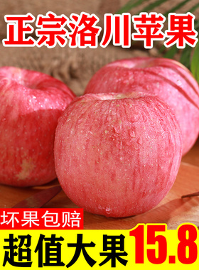 苹果当季苹果正宗延安新鲜水果心甜红富士洛川冰糖10陕西斤整箱5
