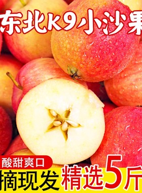 东北沙果新鲜K9小苹果当季酸甜脆孕妇水果海棠果现摘5斤整箱包邮