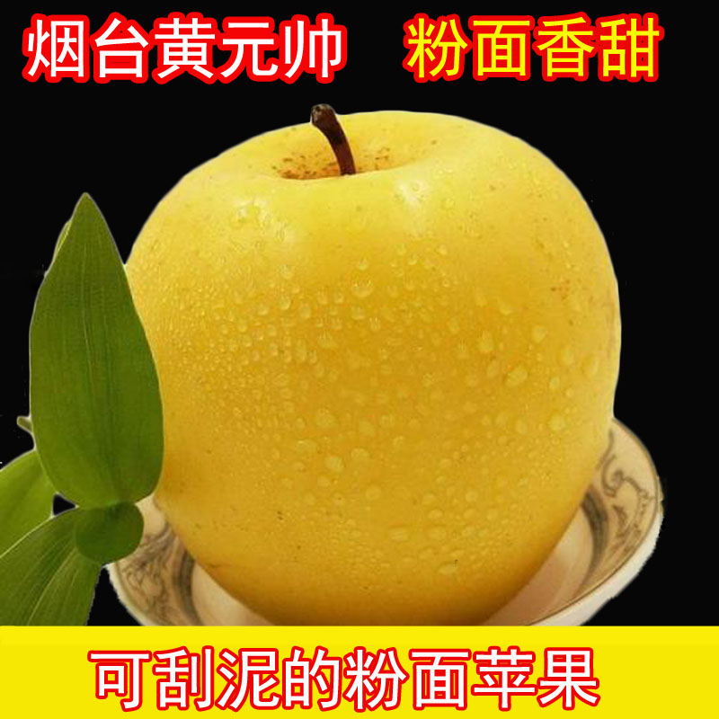 烟台黄元帅黄香蕉新鲜黄苹果水果粉面宝宝刮泥山东黄金帅5/10斤