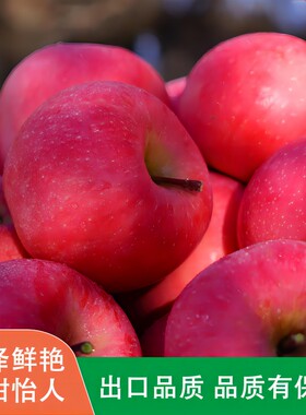 正宗陕西延安洛川苹果红富士应季新鲜水果一整箱5斤装