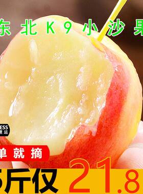 顺丰东北产K9小特沙果5斤当季新鲜棠果小苹果孕妇海甜酸水果