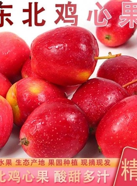 东北鸡心果2斤-5斤小苹果海棠果沙果红果特产小苹果新鲜水果