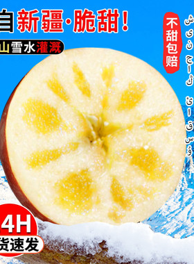 【新疆阿克苏冰糖心】正宗苹果5斤中果新鲜水果应季红富士丑苹果