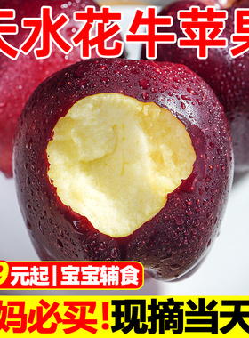 天水花牛苹果9斤甘肃新鲜水果正宗当季整箱红蛇粉面刮泥平果丑果5